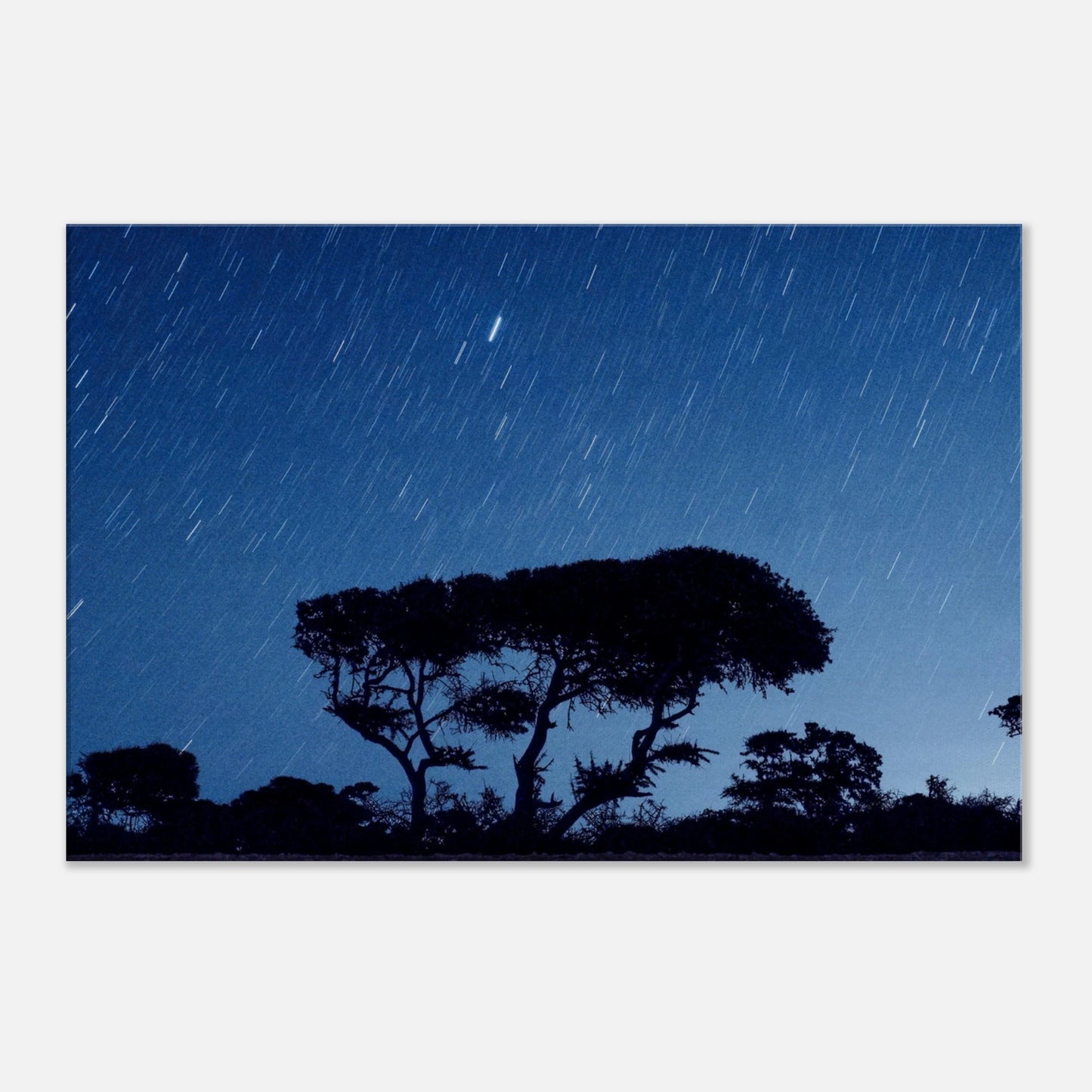 "Ciel étoilé" - Monkey Prints - Print Material