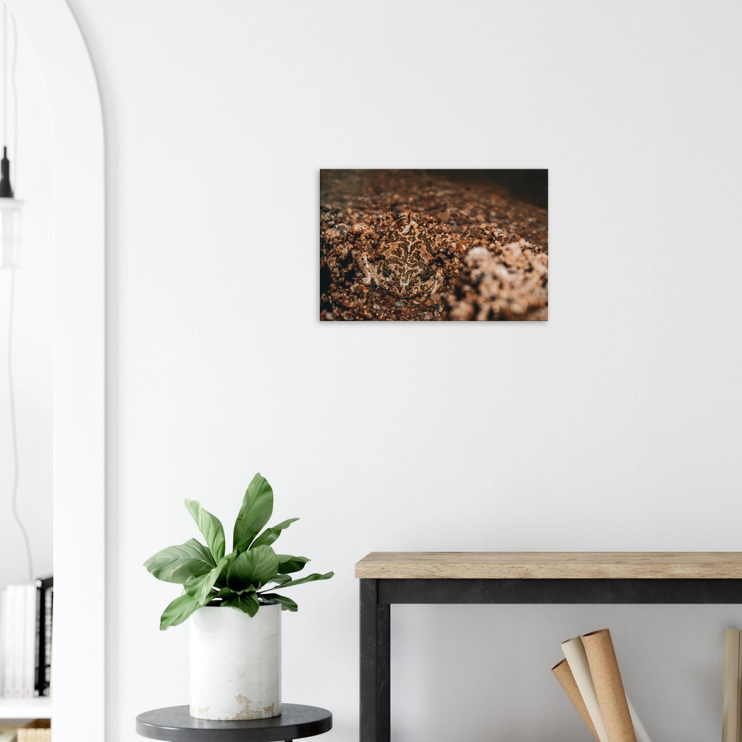 "En harmonie avec la Nature" - Monkey Prints - Print Material