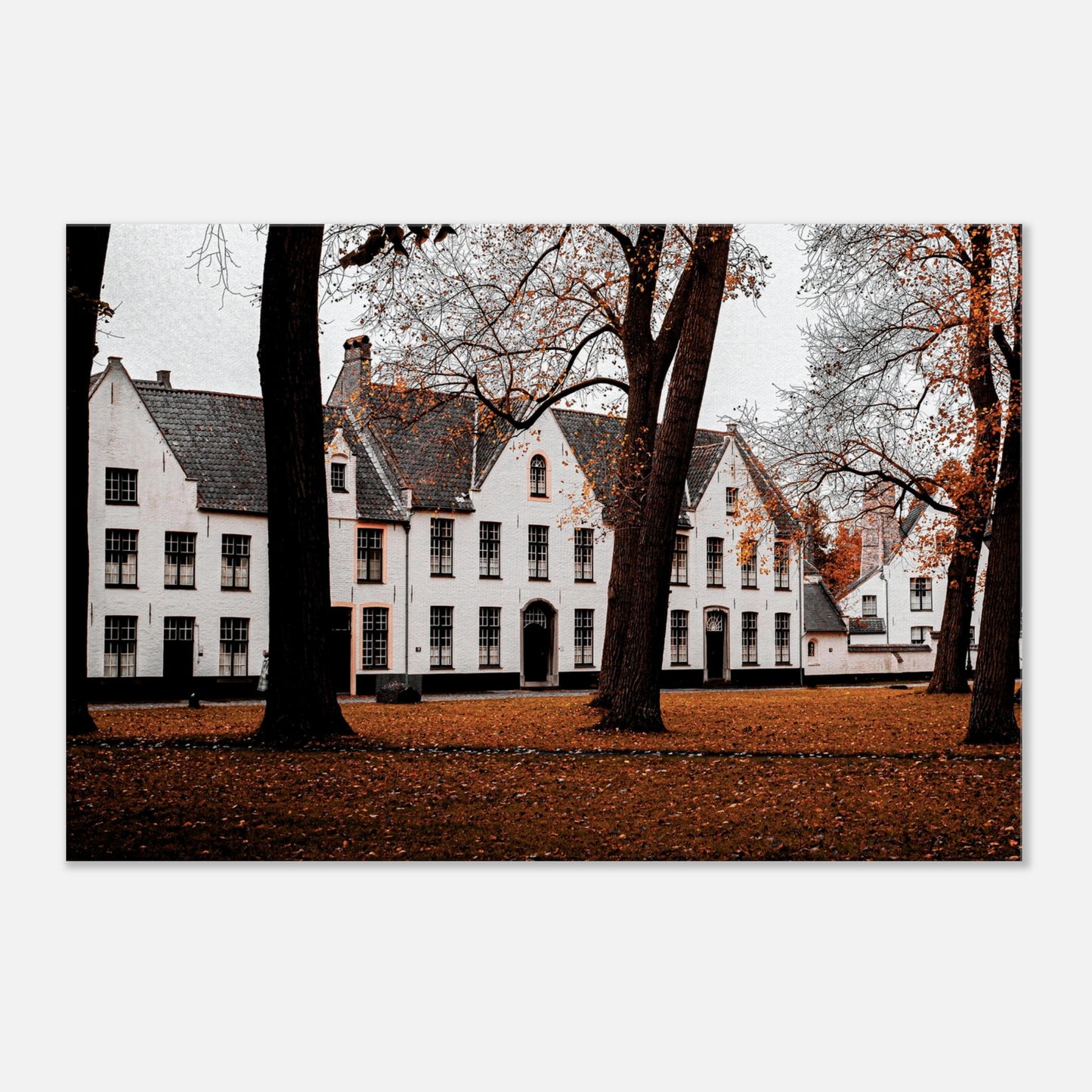"Herfst in het Begijnhof" - Monkey Prints - Print Material