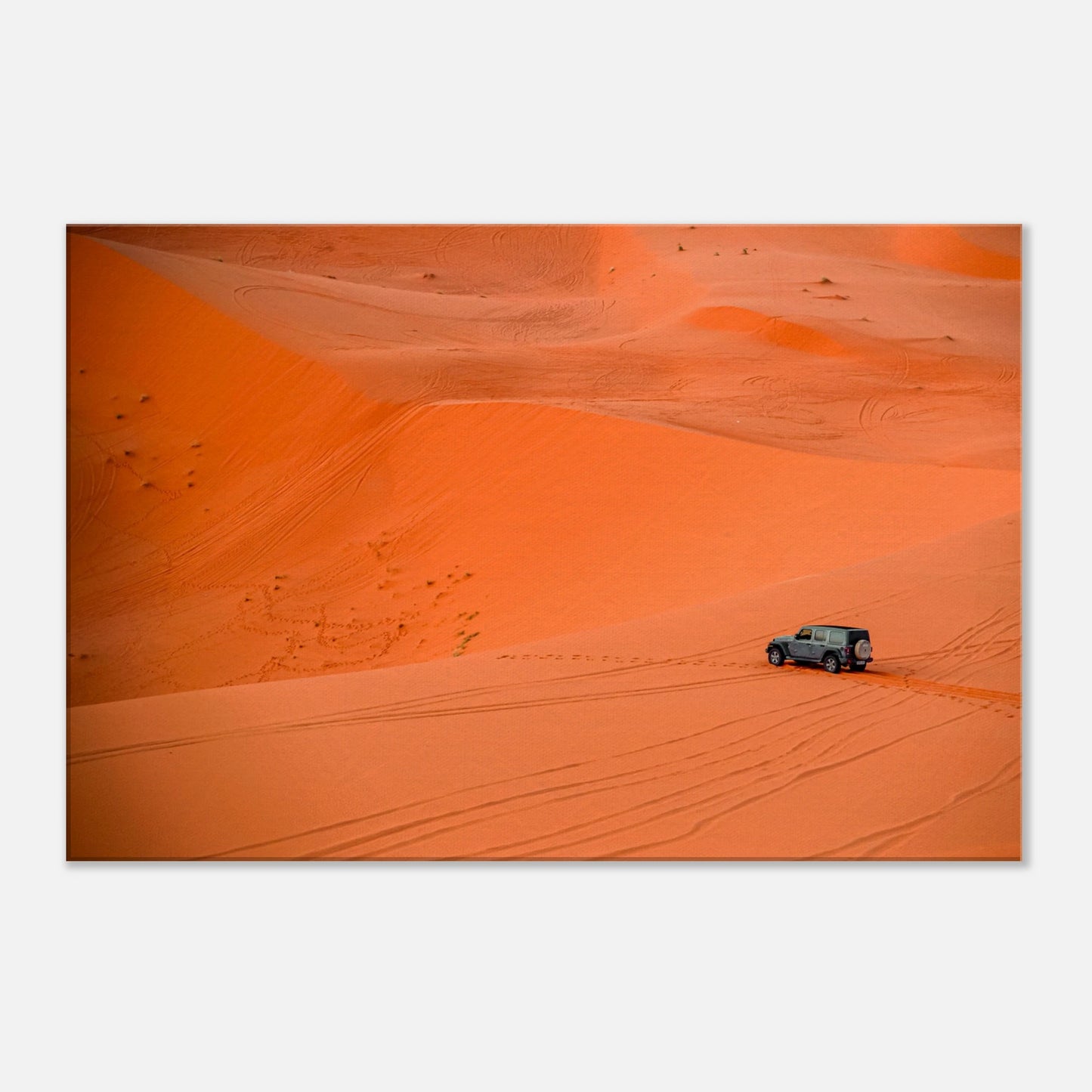 "Rallye du désert" - Monkey Prints - Print Material