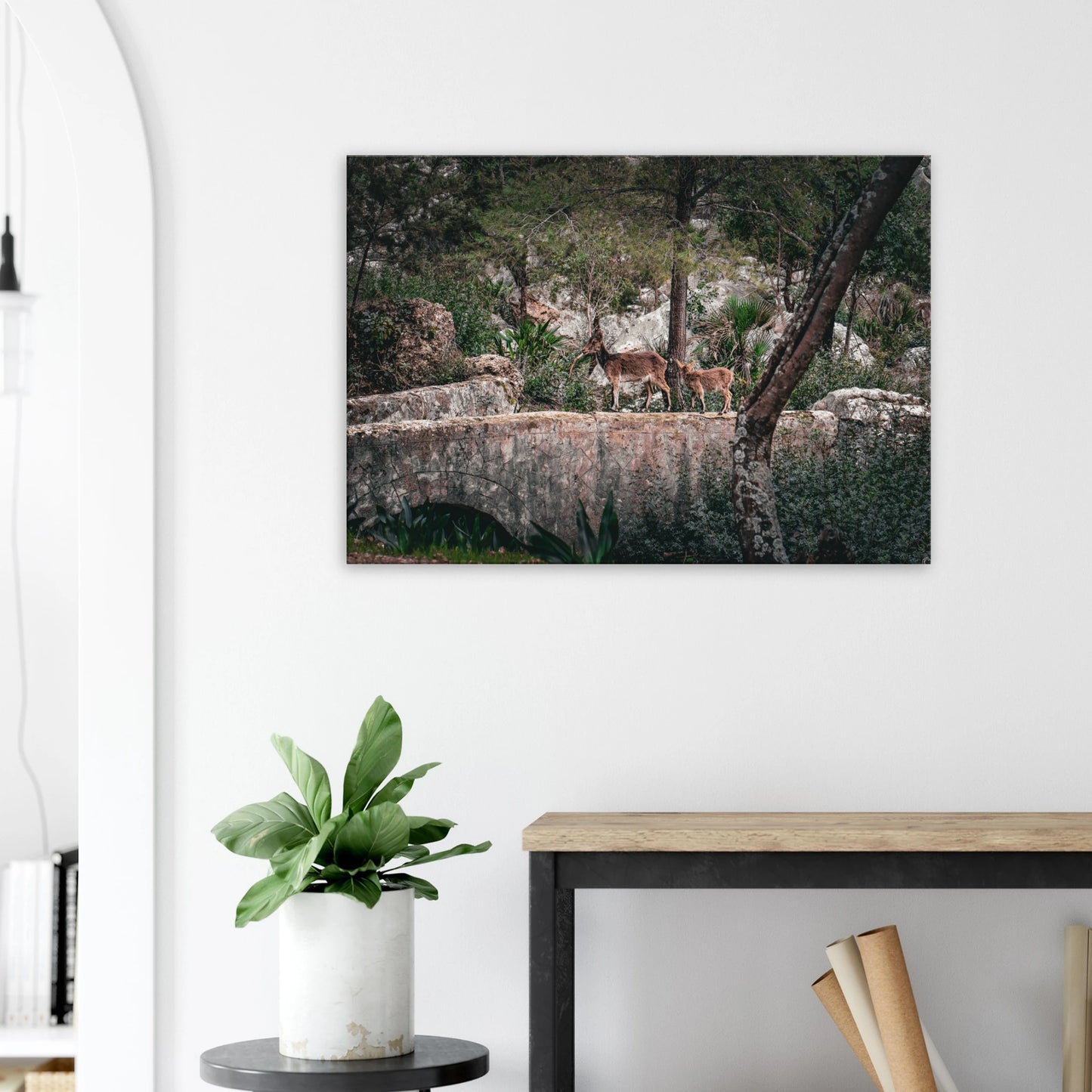 "Sendero Salvaje" - Monkey Prints - Print Material