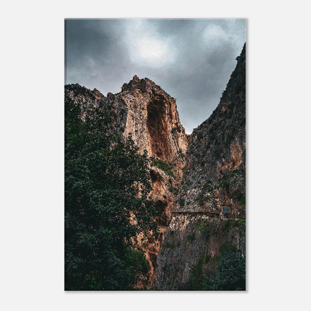 "La Fuerza de la Naturaleza" - Monkey Prints - Print Material