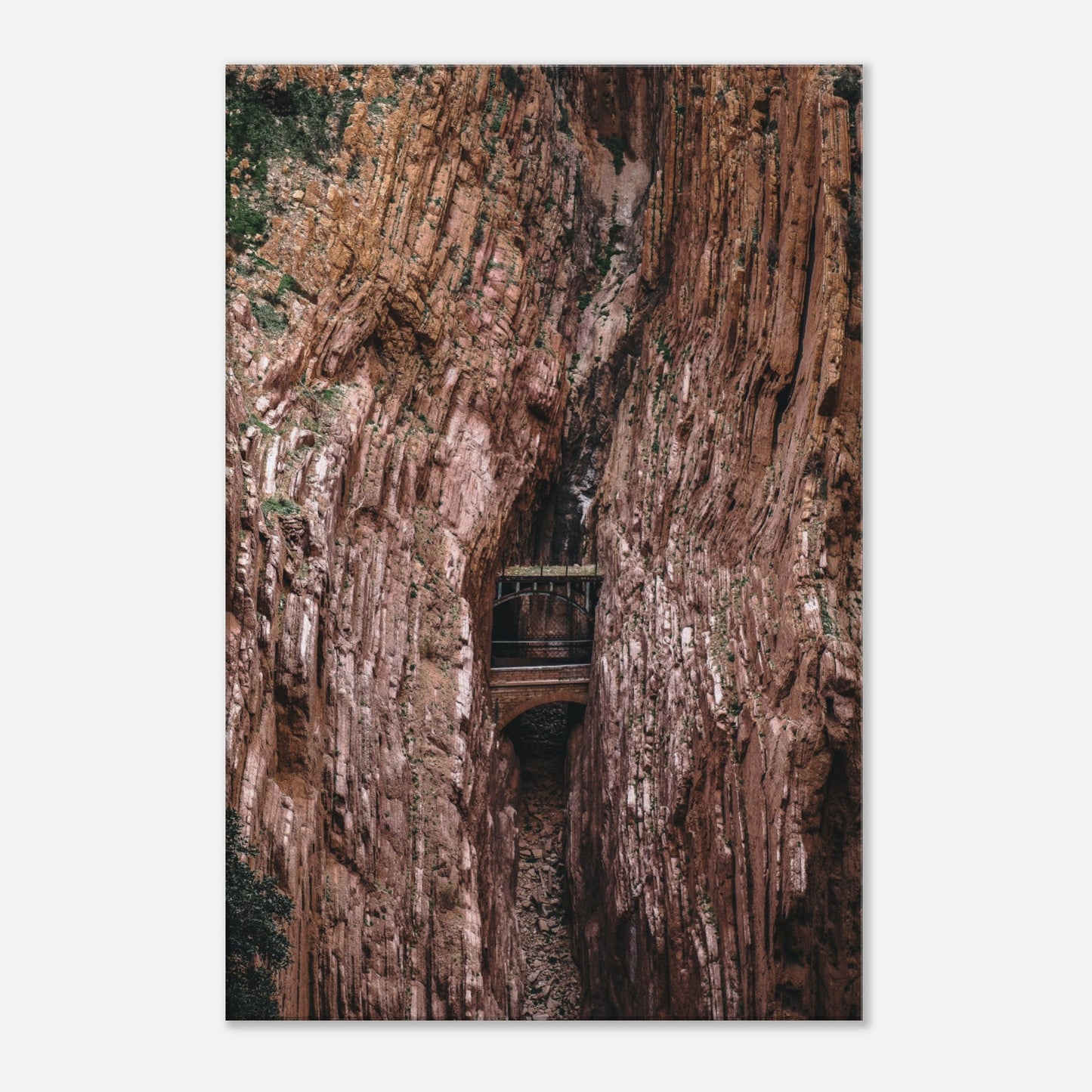 "Puente en la Roca" - Monkey Prints - Print Material