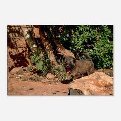 "Chien heureux" - Monkey Prints - Print Material