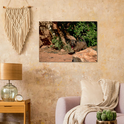 "Chien heureux" - Monkey Prints - Print Material
