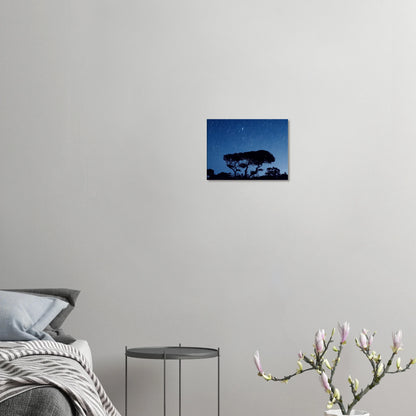 "Ciel étoilé" - Monkey Prints - Print Material