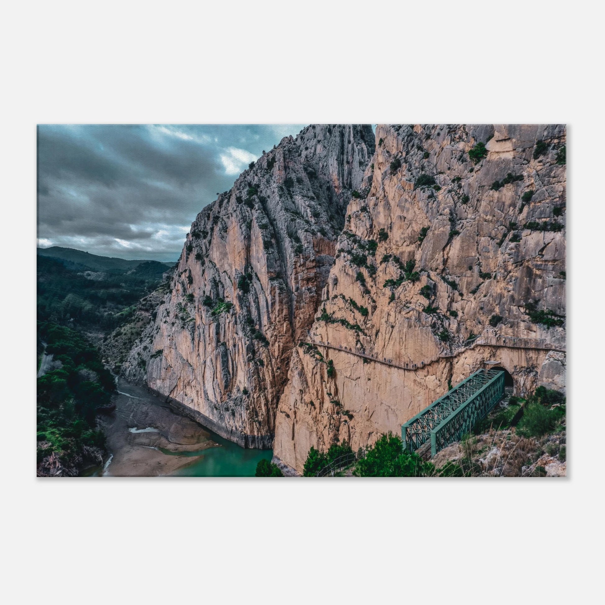 "El Caminito del Rey" - Monkey Prints - Print Material
