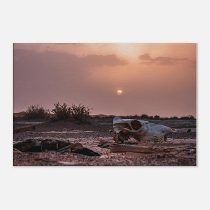 "La dure réalité du désert" - Monkey Prints - Print Material