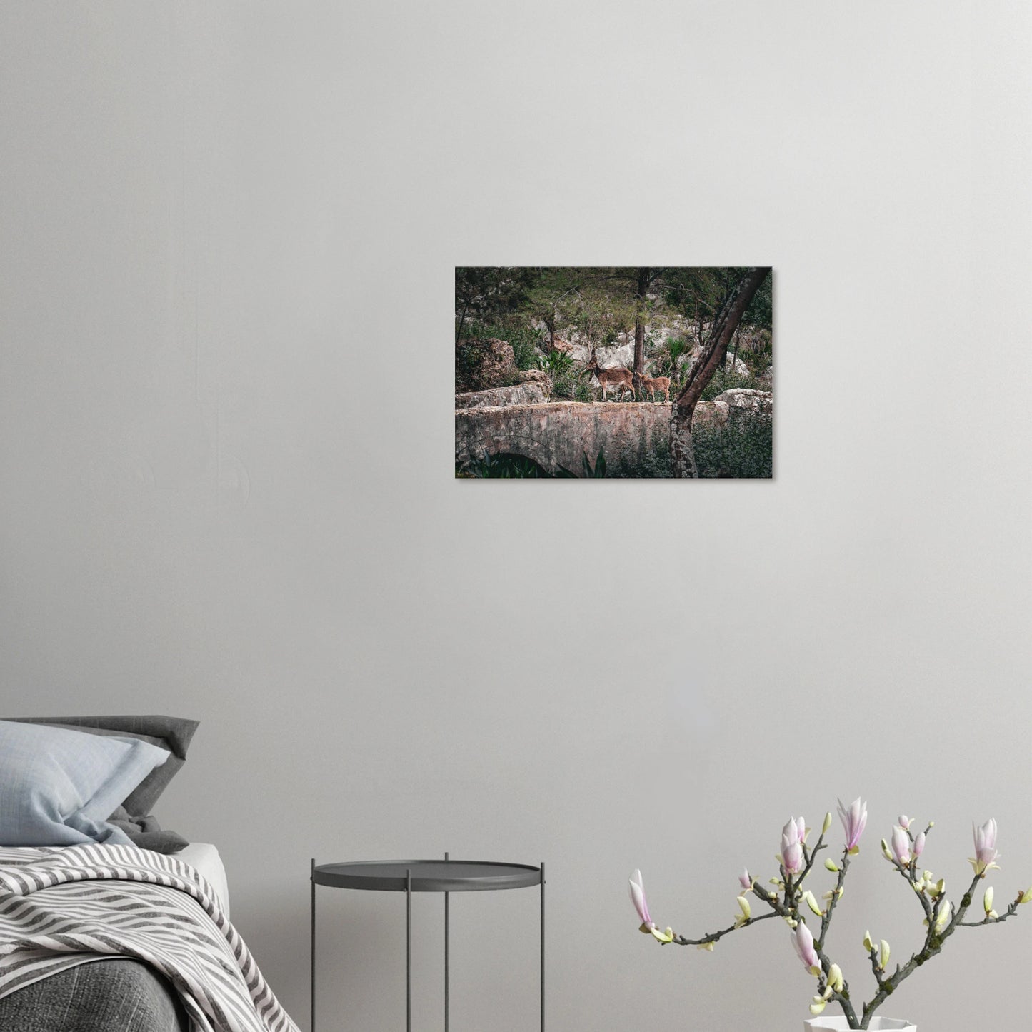 "Sendero Salvaje" - Monkey Prints - Print Material