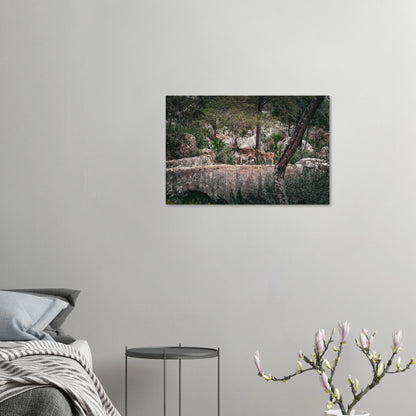 "Sendero Salvaje" - Monkey Prints - Print Material